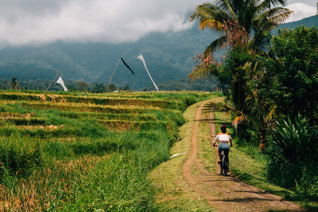 Cycling on an ebike in the rice fields