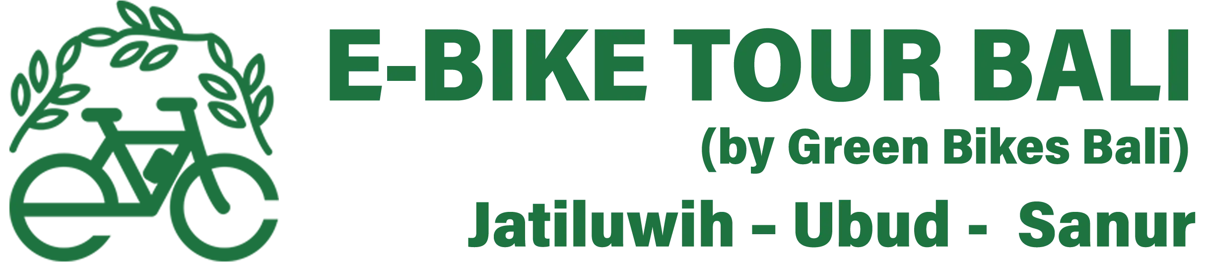 electric bike tour bali
